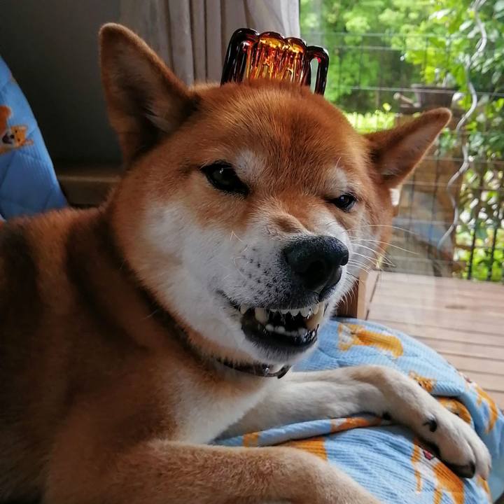 88934d9f def4 46c3 90a3 d17d237c4651 1623656409659