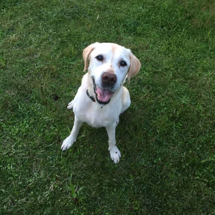 8893ab30 8574 4d83 a92f ae121b6251f3 1650029282118