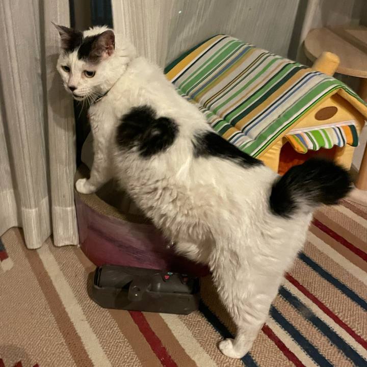 8893f75c 276a 40f4 81d1 58b4d518cacc 1655997395607