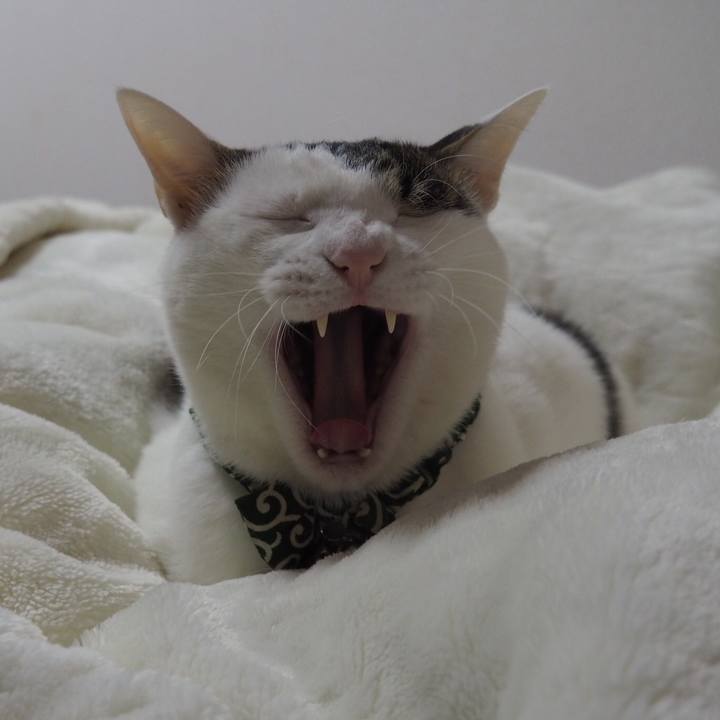 88942465 cce7 4431 943a 3cfdc3b1b3f5 1542893194164