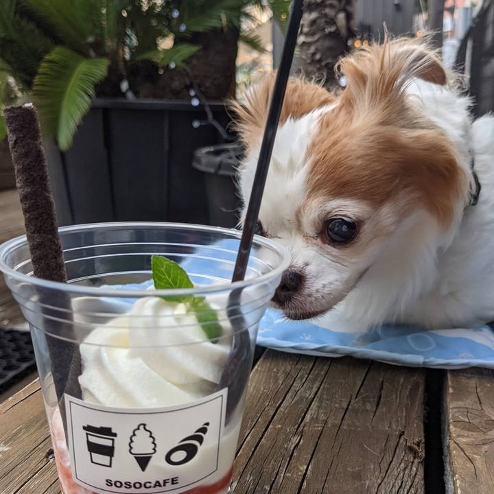 88942929 fe0d 4b3b a701 24f5b8447ed3 1623054689489