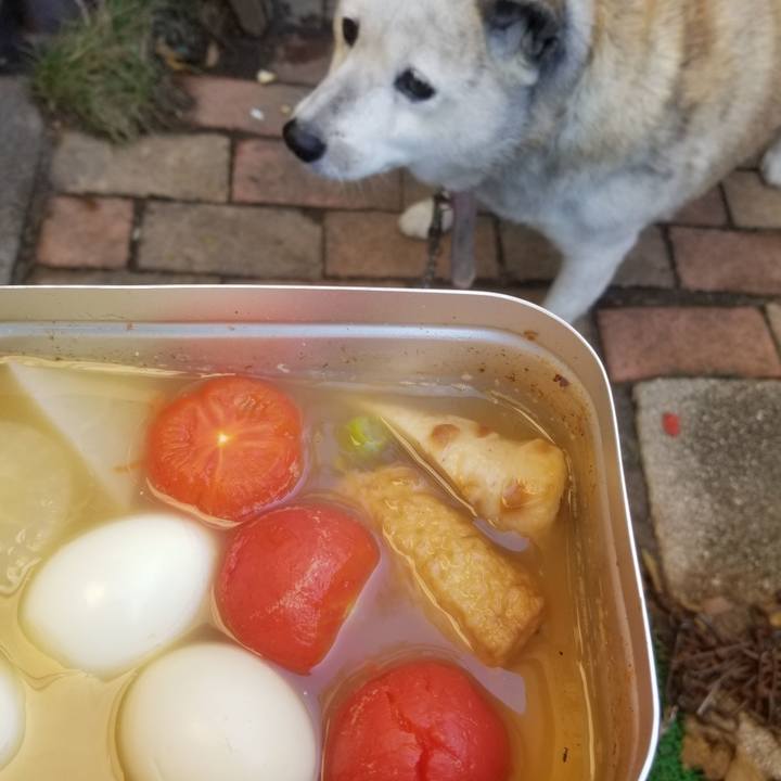 88942fd1 b406 49f7 8bce 11a1c617e768 1700363944174