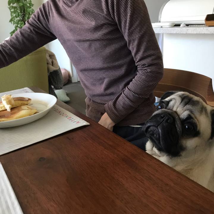 8894452d 4f7f 4fb3 8e2d aa94e8cba39d 1546129572327