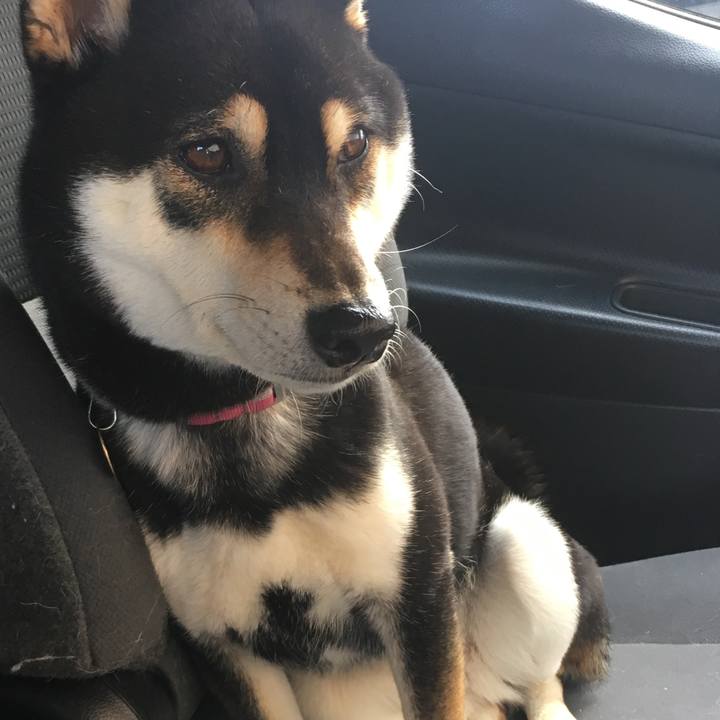 889446bb 2ce5 4495 8246 311d2274478b 1587215795857