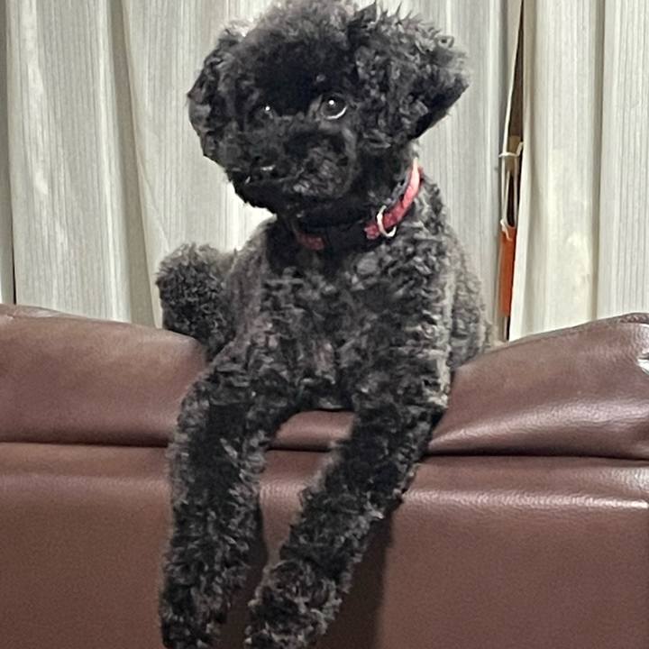 88945d1c db23 4616 b29e 21735aee8e8b 1692180852675