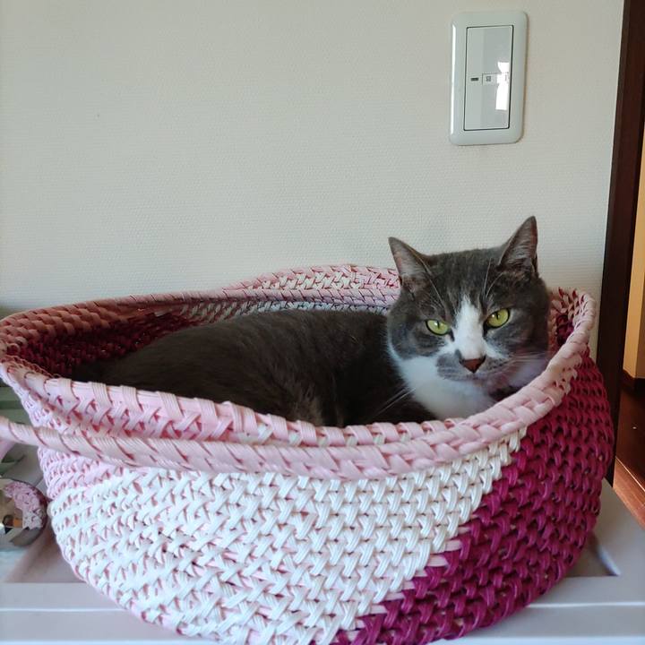 88946bcc 8494 4b21 afa3 30657a536dd5 1720139446122