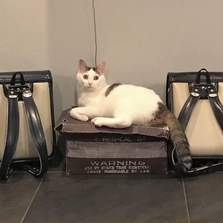 8894897a 2075 4479 aefb 9e57382a68e0 1508162485688