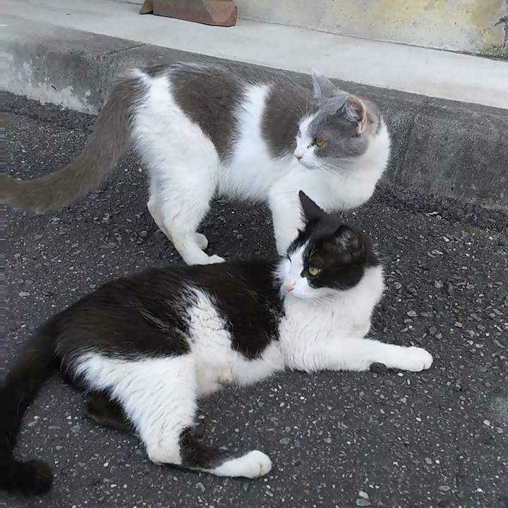 88948b5d a915 4525 9781 810a91b4e80f 1527412782819