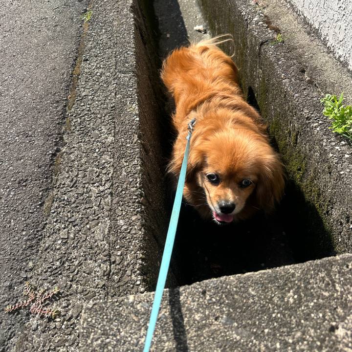 8894930a ad12 4752 af16 c71b85ebab4b 1690070296053