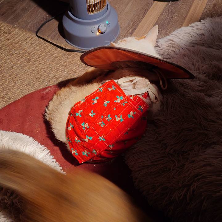 8894a4a1 39a5 4955 a825 8944a81679ef 1767099759549