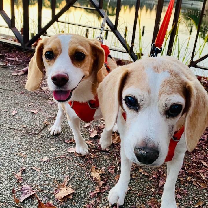 8894c29b 1ece 48be a0d0 50d2ba467717 1606384661478