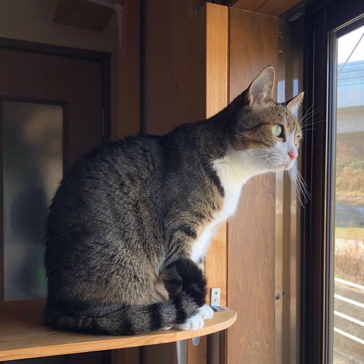 8894c3c2 6ec2 42d3 b14a 22dee9658de5 1612660824955