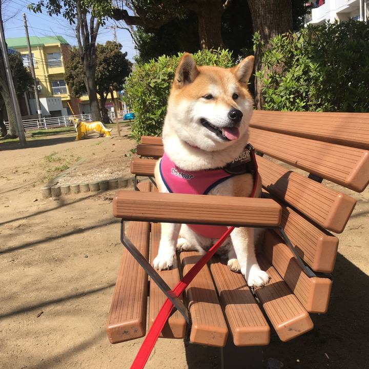 8894eb98 aa50 4b3c a459 0cf08e0af95f 1584763707059