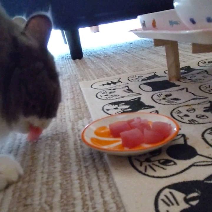 8894f098 3dde 40d7 9ab2 68d06b9169a9 1626233522655