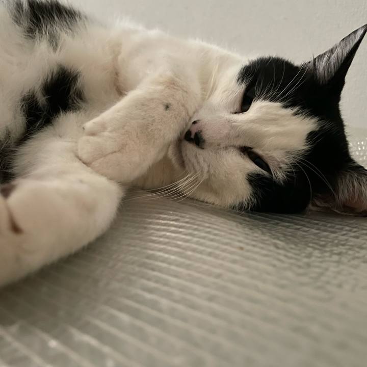 8894fb88 18dd 421d 8283 3212b0f0a4c1 1712439592973