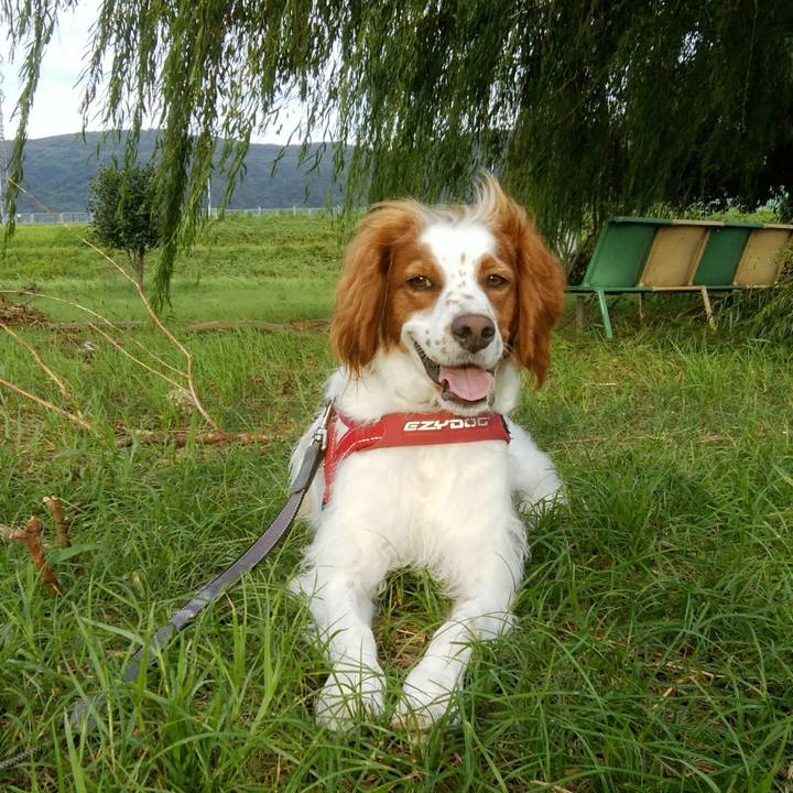 8895089a 777b 401e ac7c 98d18e1f6040 1536397425760