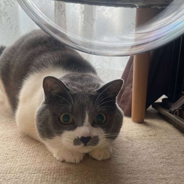 8895260b 34ba 4a2a 8063 11b7e13106b2 1739423334540