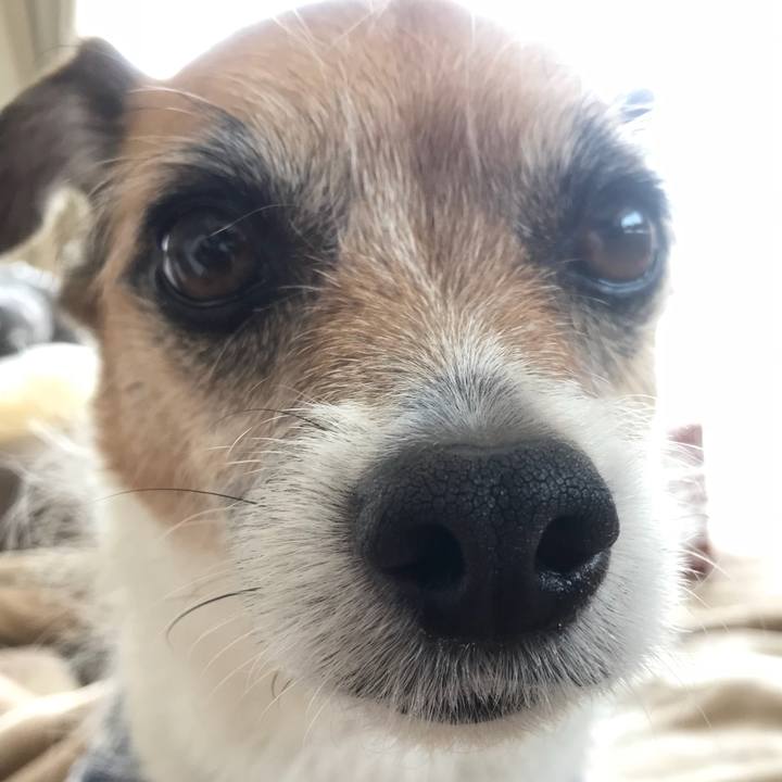 88953e37 a439 4c46 9bb4 268efd94fd91 1523621494072