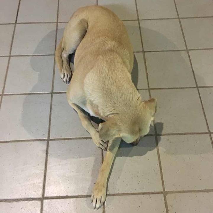 88956160 d153 4e6f a60f 537b7cb0140d 1541074528331