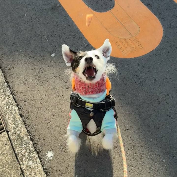 8895823e fab3 4a6a 8454 e4fc7b93b2eb 1769733105271