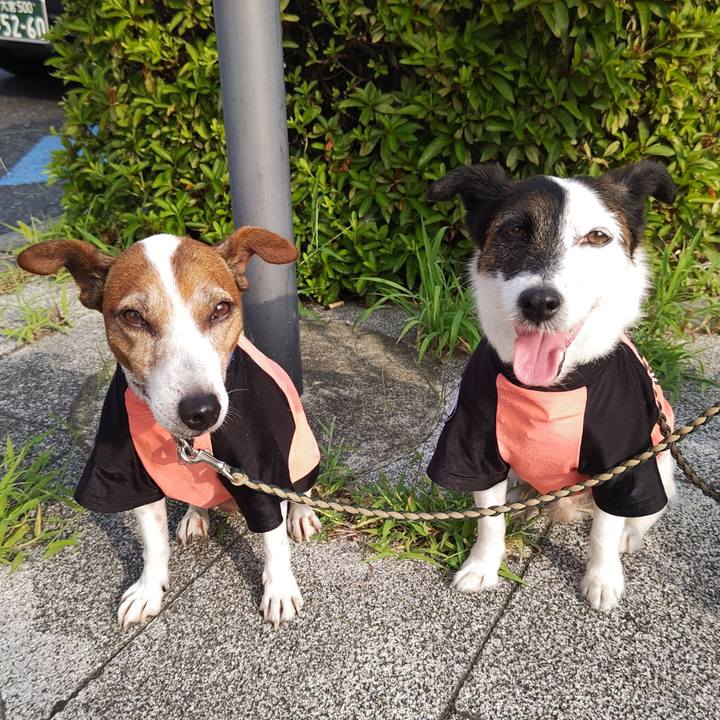 889585c4 4c58 41ea 8caa 871ab56f0fd0 1751925629328