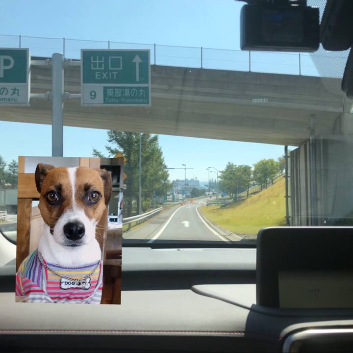 8895957f e1c7 4783 8152 757db7724e5e 1570673833713