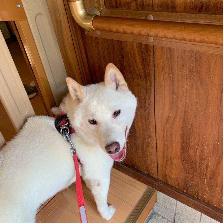 8895e55c 3332 47de 9aa4 10875629644b 1565908263212