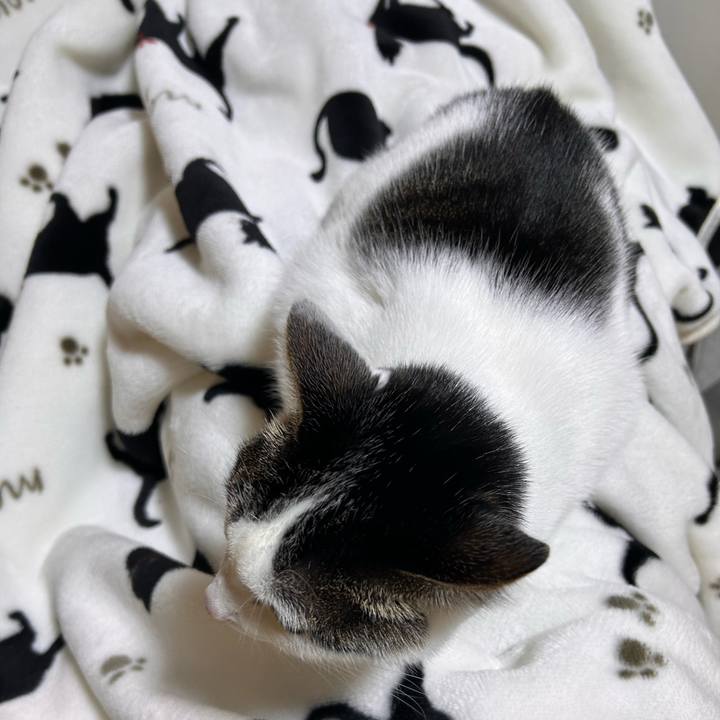 8895e9c4 a939 4fc7 a7d0 8eac66a5d162 1768218224562