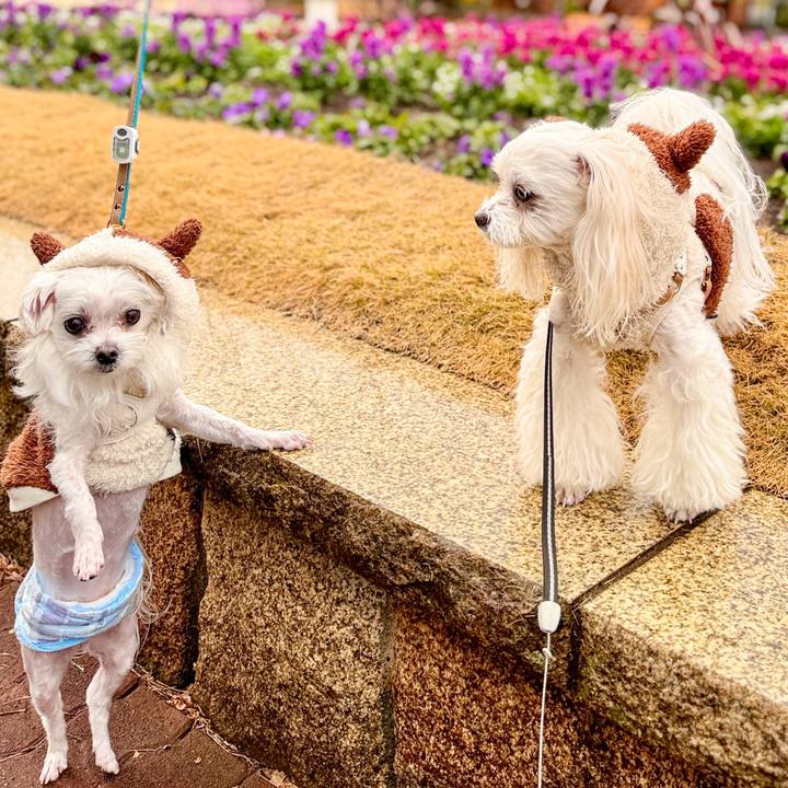 8895ed07 a1de 4ed6 88dc ba943c762eb9 1706863278407