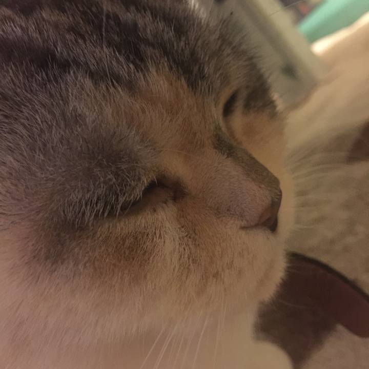 8895f853 1139 435b acec 181e5378d06b 1550157839681