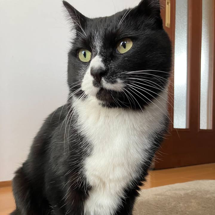 889629c9 a79f 4700 b156 e9a0cfec4991 1679456570248