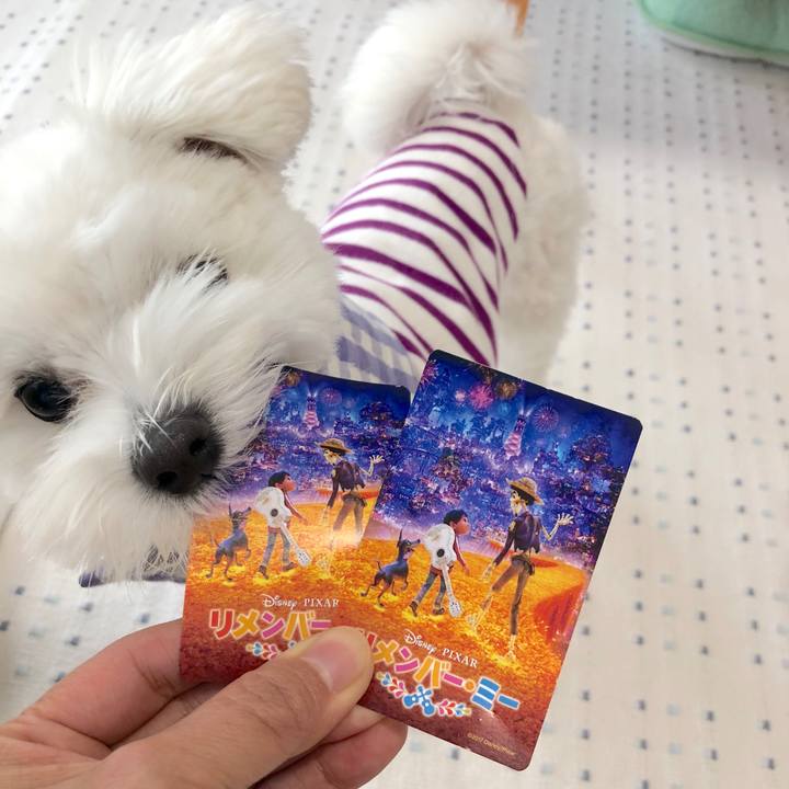 88962b7f 6a5e 44bf a93e 0c53d376aa92 1523347578789