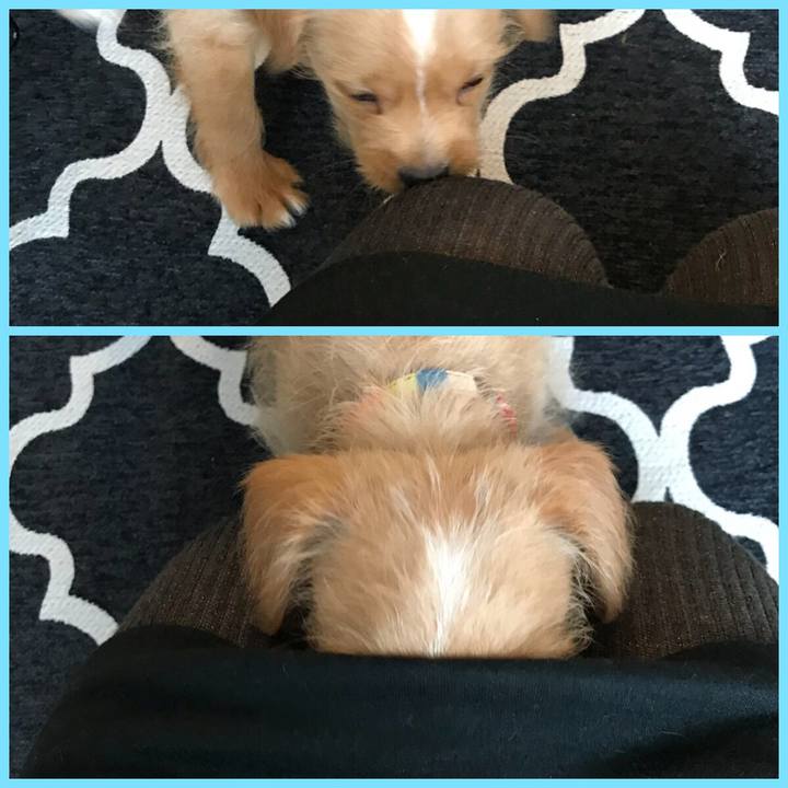 88965f4d 07ce 4fca 998a 73120d238000 1516591242590