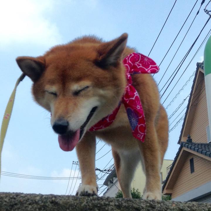 889661d0 0f54 463f b8b4 6b9e80507791 1564708172958