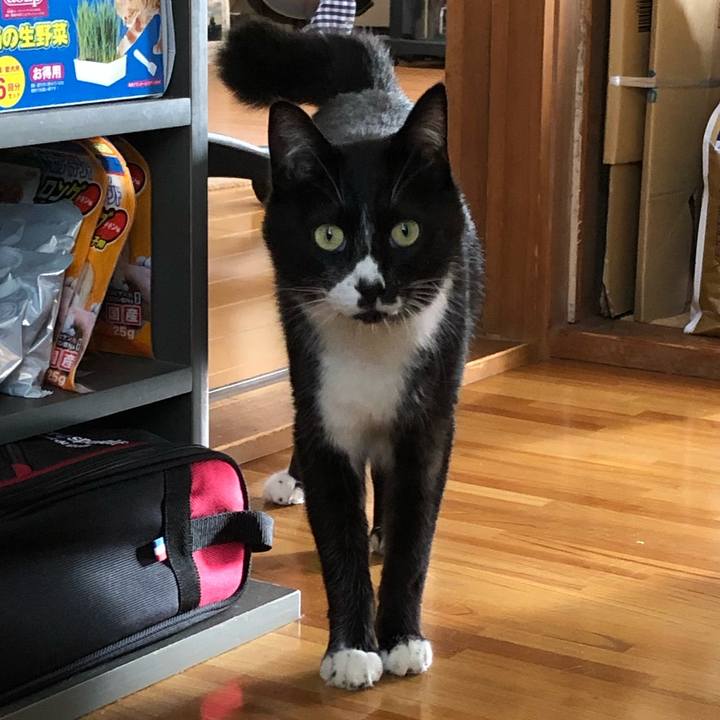 8896bb19 7396 4c04 8b06 785b5986105f 1561434191463