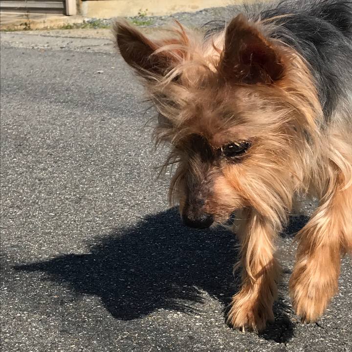 8896c799 2894 4d53 b9da 46be604ae1b8 1509943519402