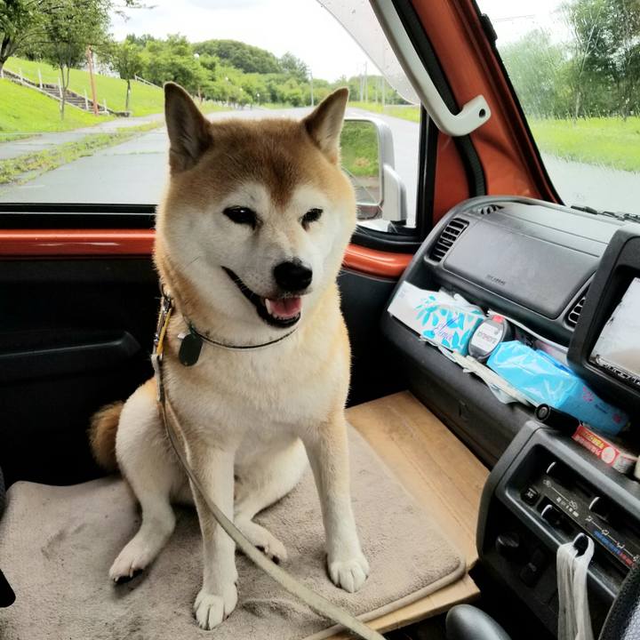 8896ef82 e46a 4fd7 94d7 5469c455fea4 1625384133285