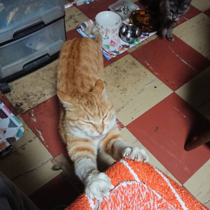 8896f750 eff1 49e2 b6ae 032203af06c7 1589485551662