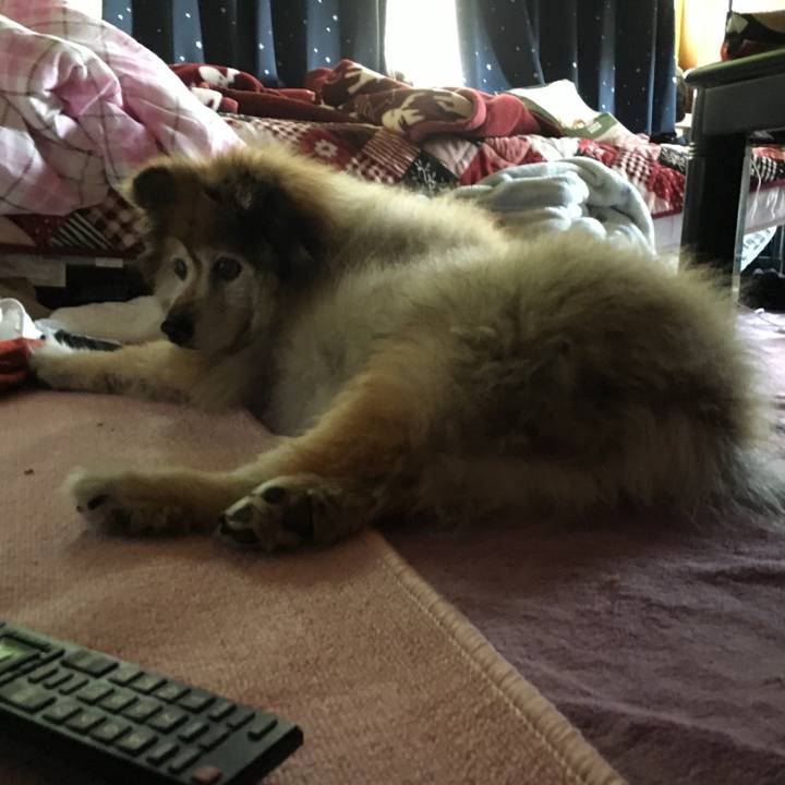 8896fd00 0e70 4279 a436 0470cc155078 1564322829347