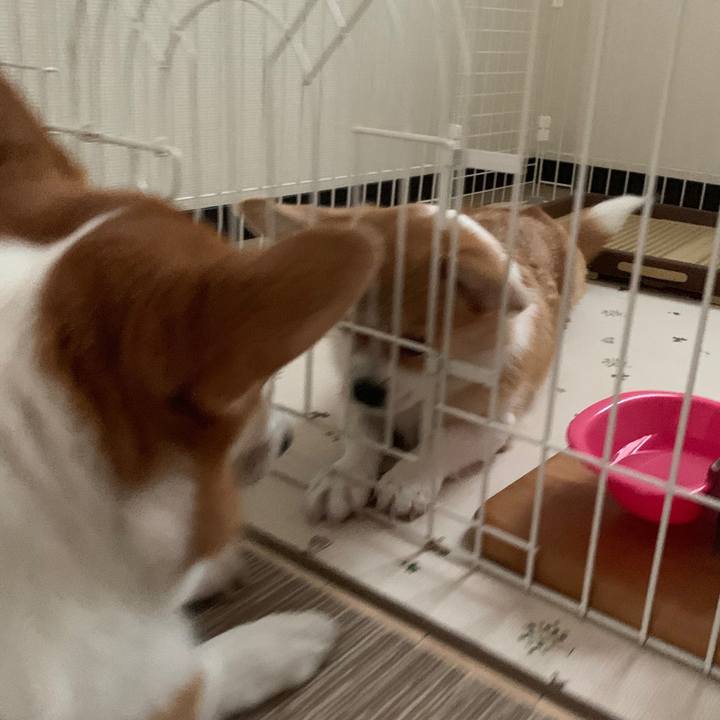 8896fd18 9df7 42b5 bce6 59d70f1594dc 1570453505527