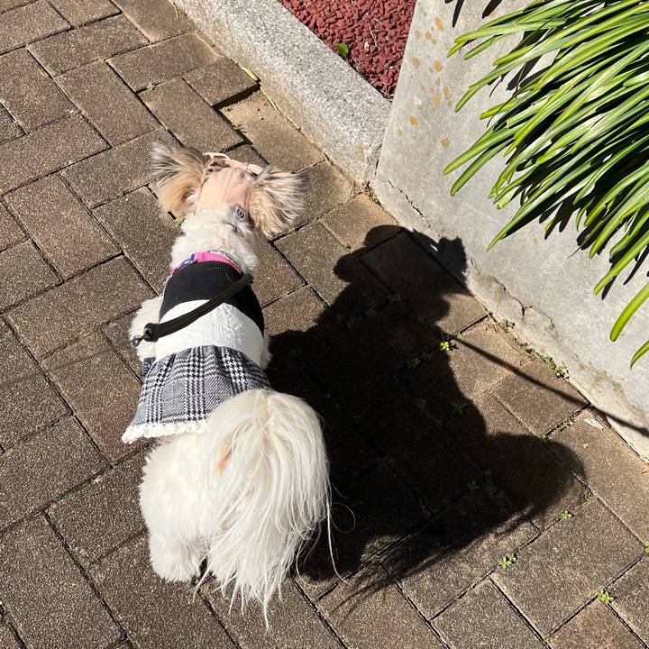 8896fe71 2692 4bd6 a444 3ffff686ab2f 1643955799385