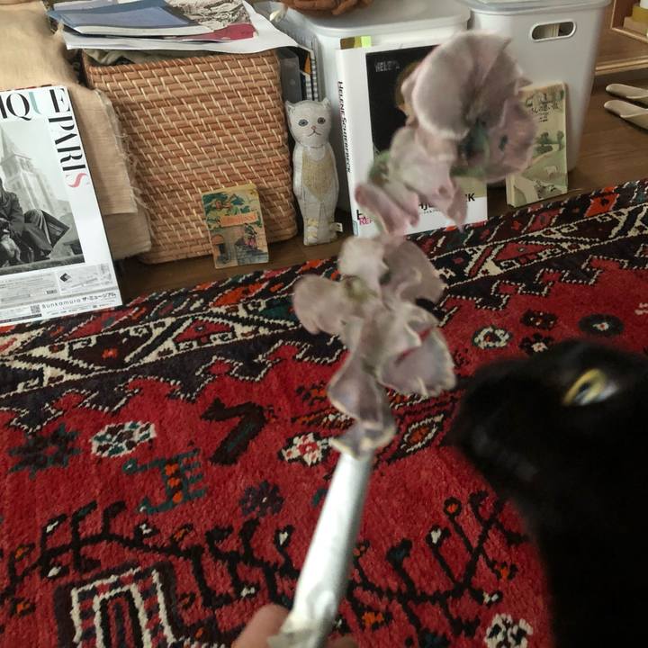 88970916 90c3 4af3 afe4 f24665c37444 1616223450328