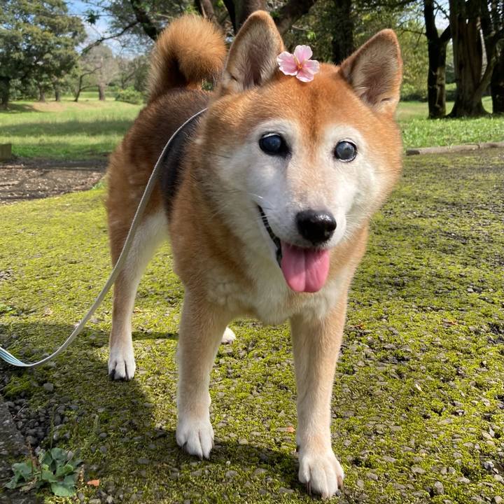 8897270e b128 4248 aba7 636cabcca098 1729320129278