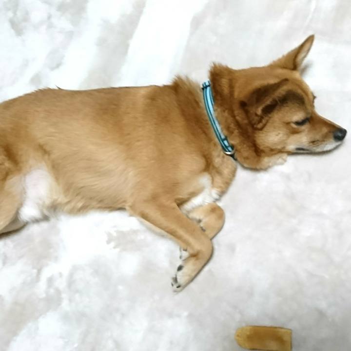 88972894 e47b 4e29 a794 153d0c575c66 1514206763502