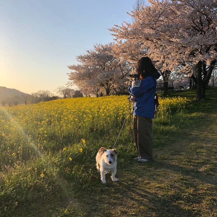 889767ab 8112 46ea 86b0 99e7d74dfcf4 1586646231654