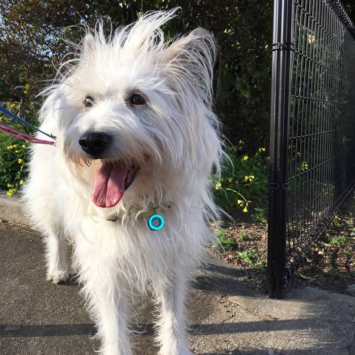 889771a5 c287 4ebf ad02 b6a30250c702 1584264266082