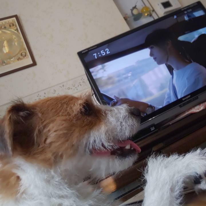 88978194 123a 4065 ae22 303564aa41b5 1569371385698