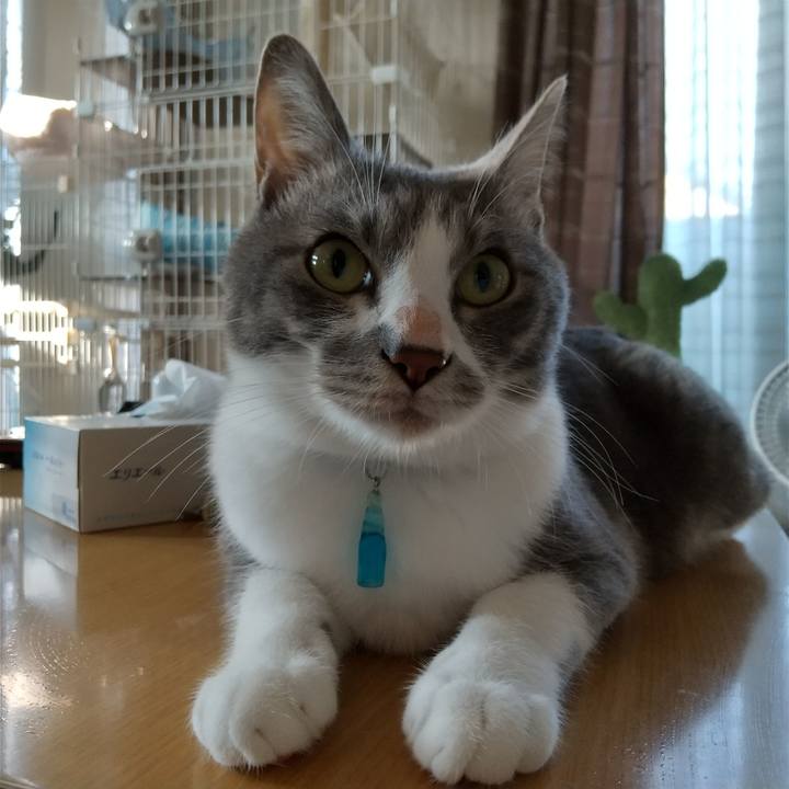 8897cbab b273 4408 b79b 65a57ed7f0f3 1620942612638