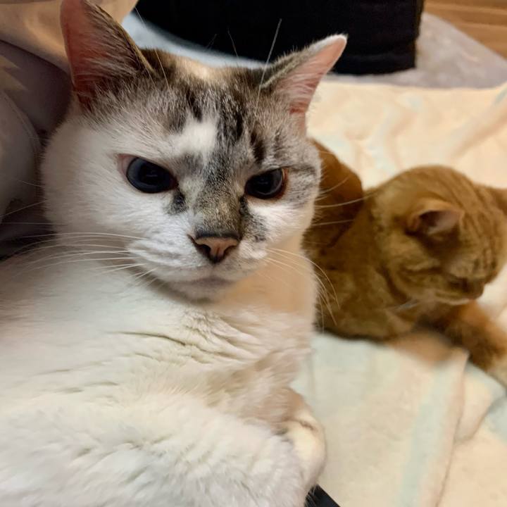 8897f00e bb69 49bb 8893 002a0a72cb44 1654861119577