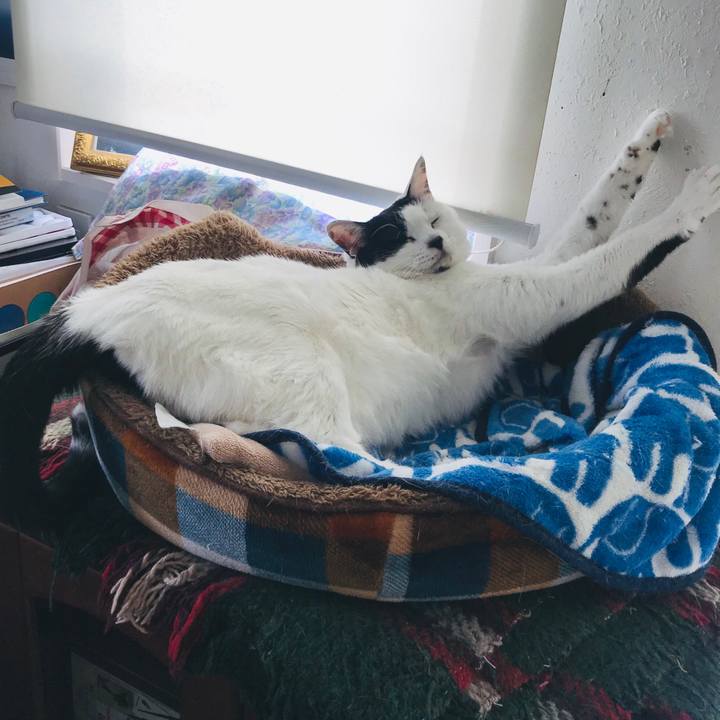 88984441 a164 48f4 af46 c30eae23662b 1556076584416